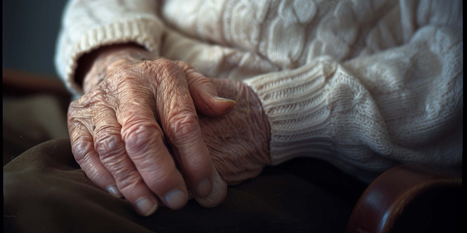 B Corp certification badge with Dort Studio branding